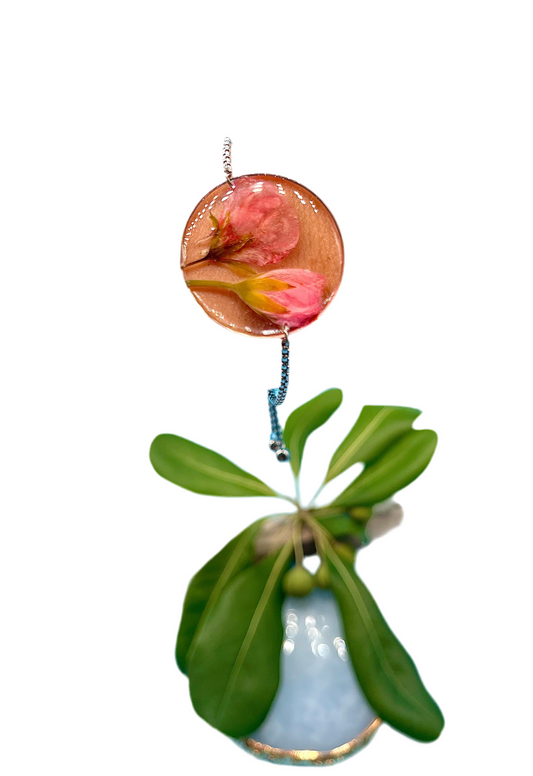 π΅πππππππ π π’πππ πππππ