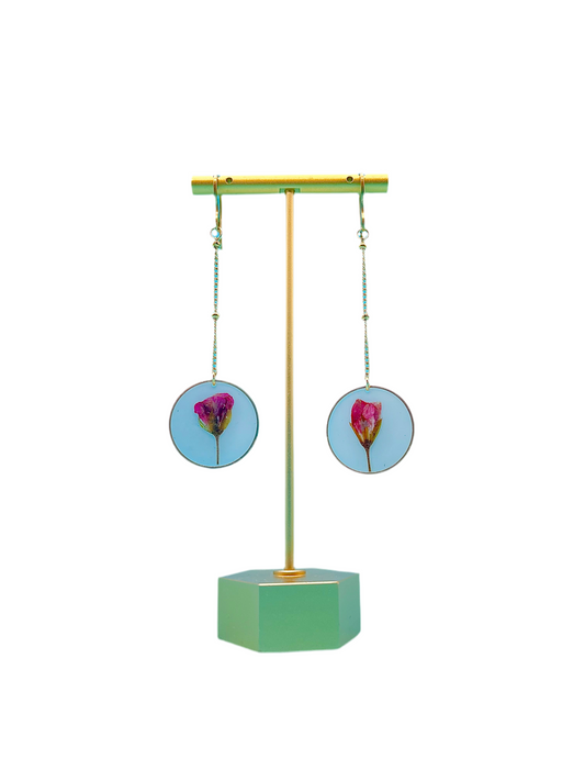 π΅πππππππ πππriamoππ‘πππ