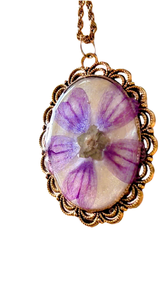 ππππ£π π πππ£ππ‘πππ