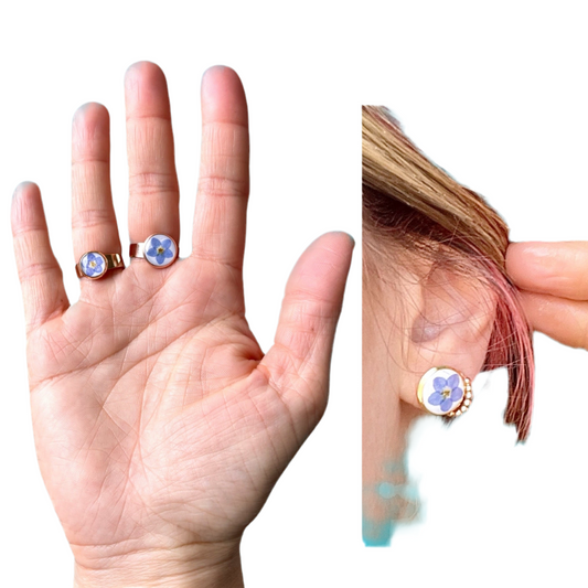 πΉππππ π£denteππ "πππ π‘π π ππππ Forse"