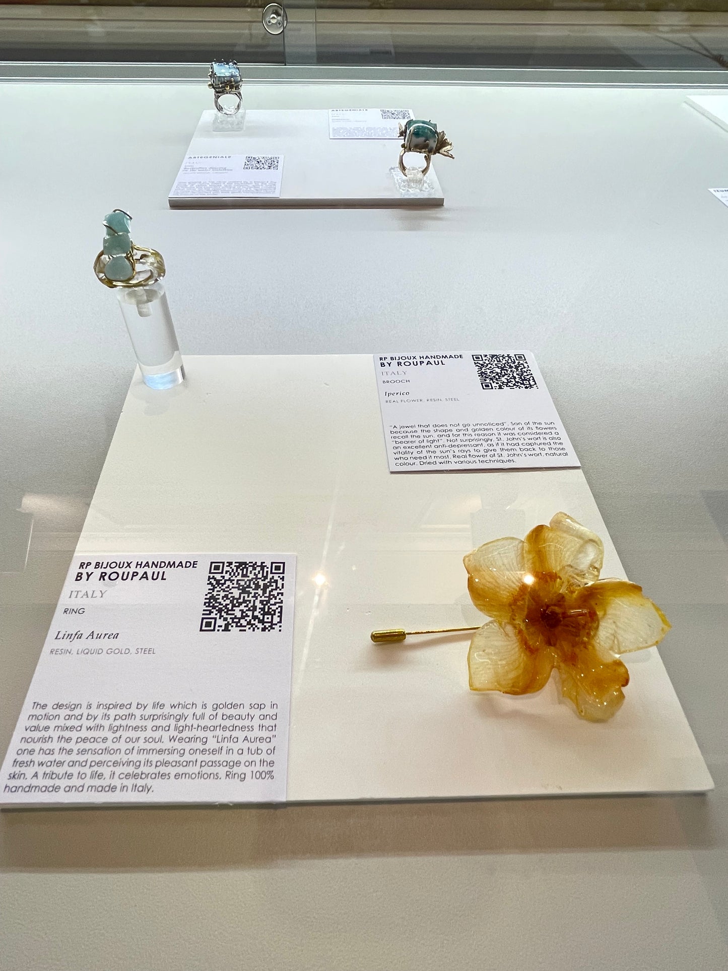 πΏππππ π΄π’πππ