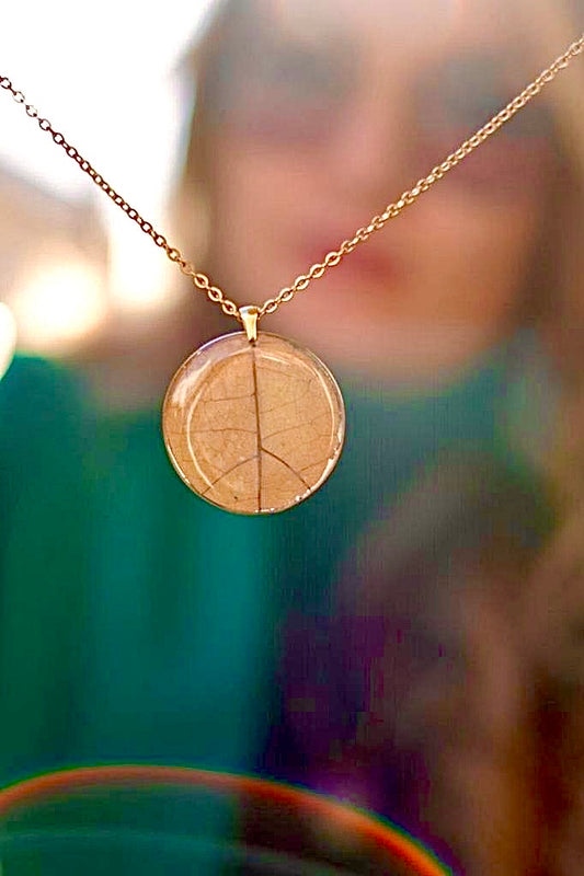 π
πππππ π'πππππ