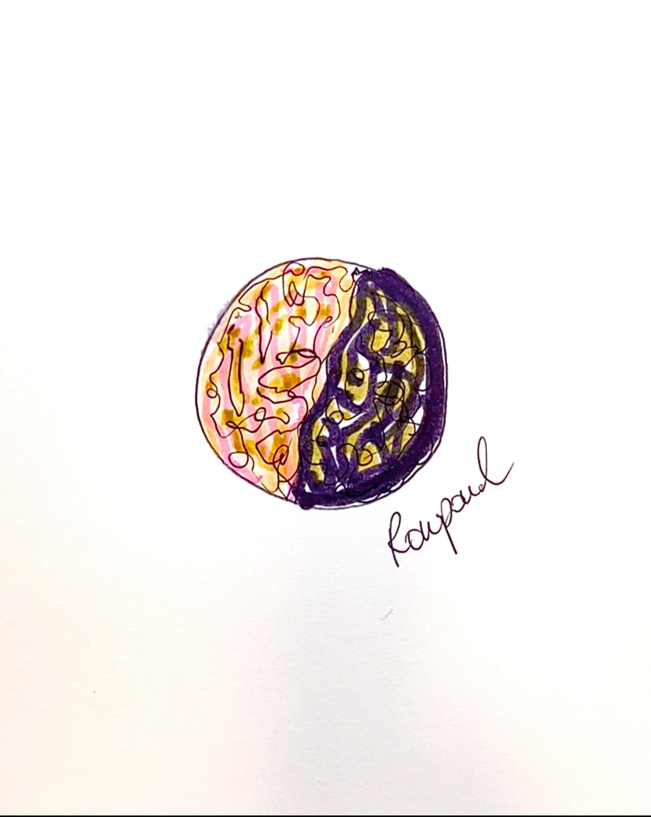 πππππππππ ππππππ³π¨π«π¬