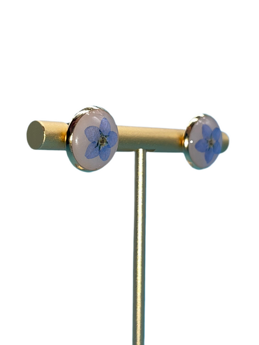 "๐๐๐ ๐ก๐ ๐ ๐๐๐๐ Forse"