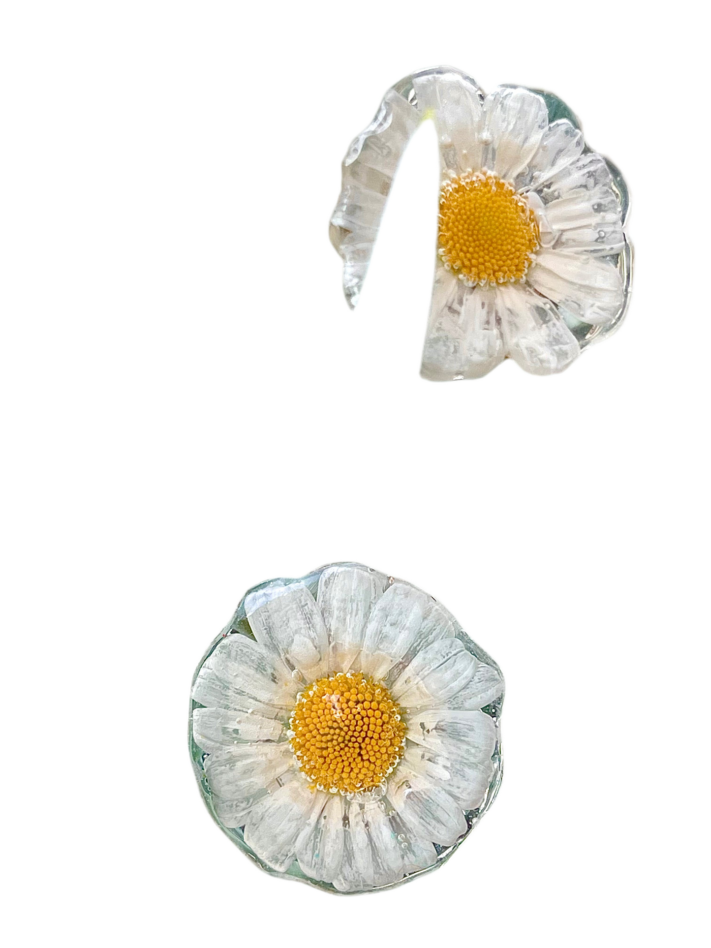 ππriamoππππ riamo πβ π