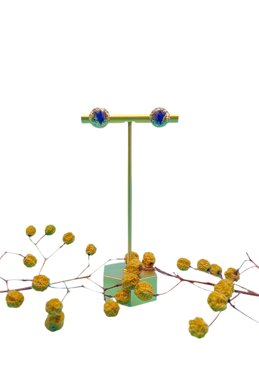 π΅ππ-πππ πππ Forse