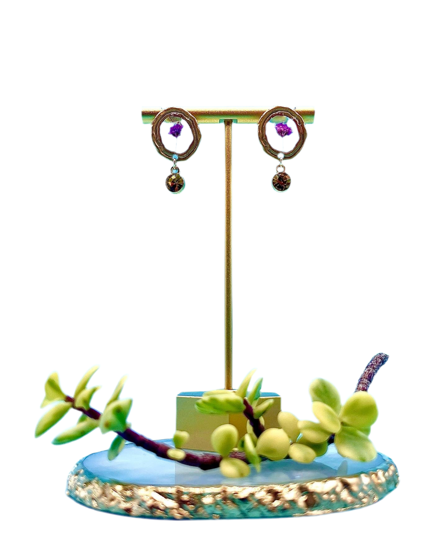 ππππππππππ πππππ π·