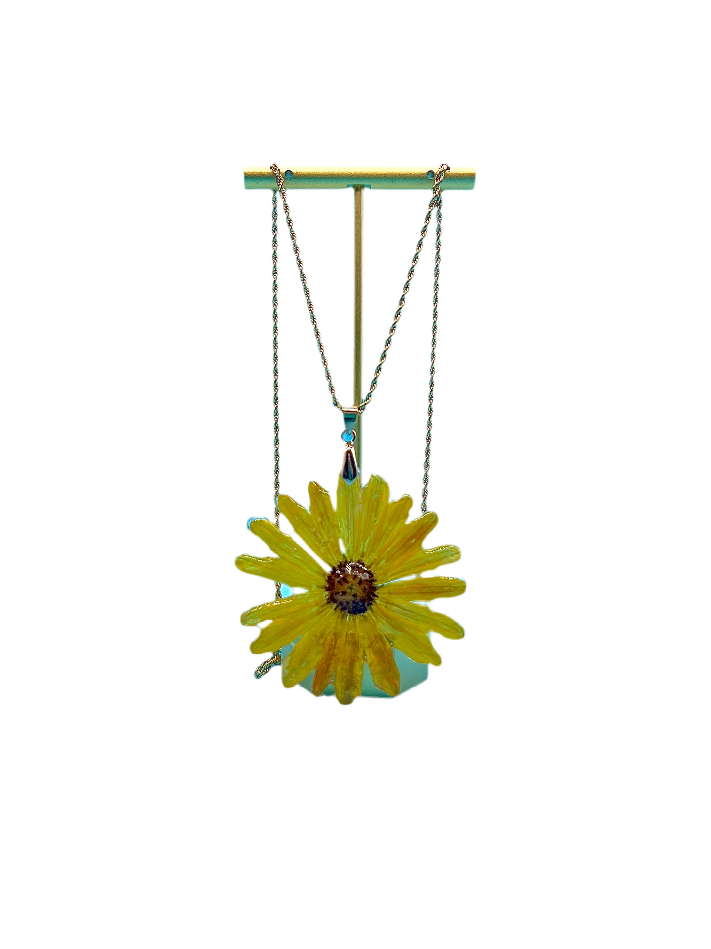 πΆππππππ ππππβππππ‘π ππππππ