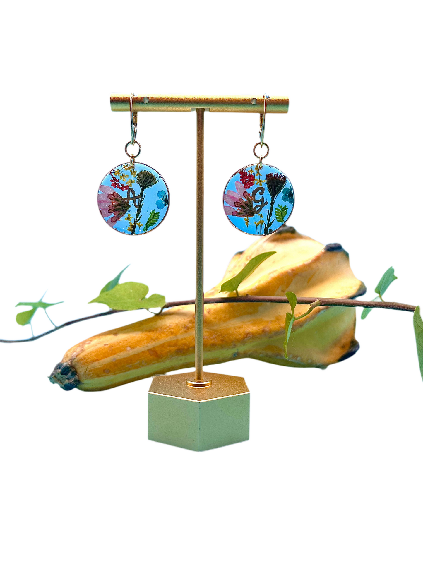 ππππ π πππππ πππππ£πππππ