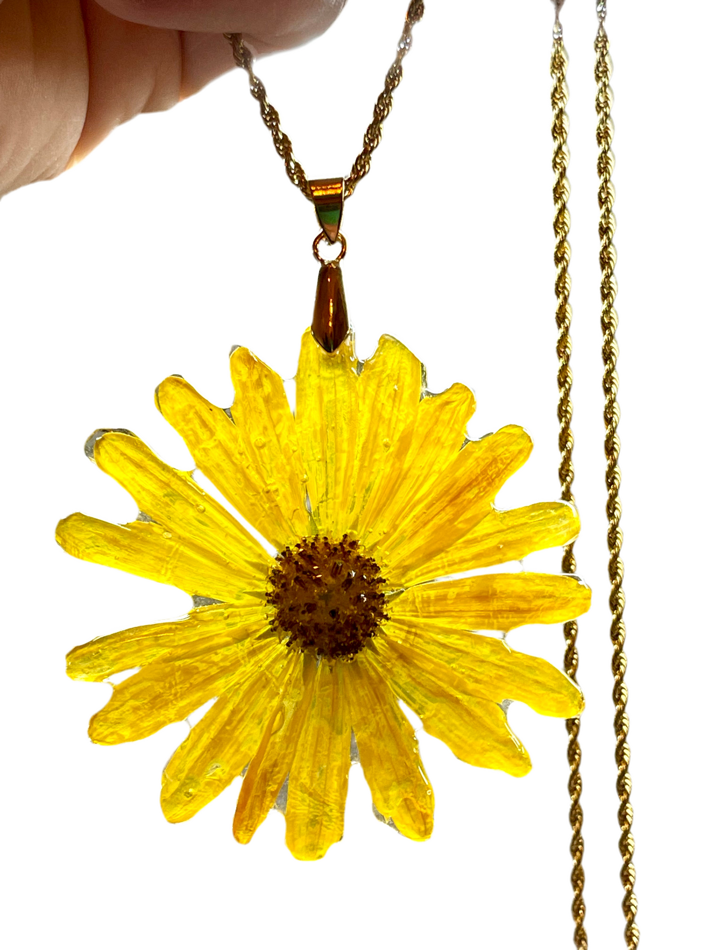 πΆππππππ ππππβππππ‘π ππππππ