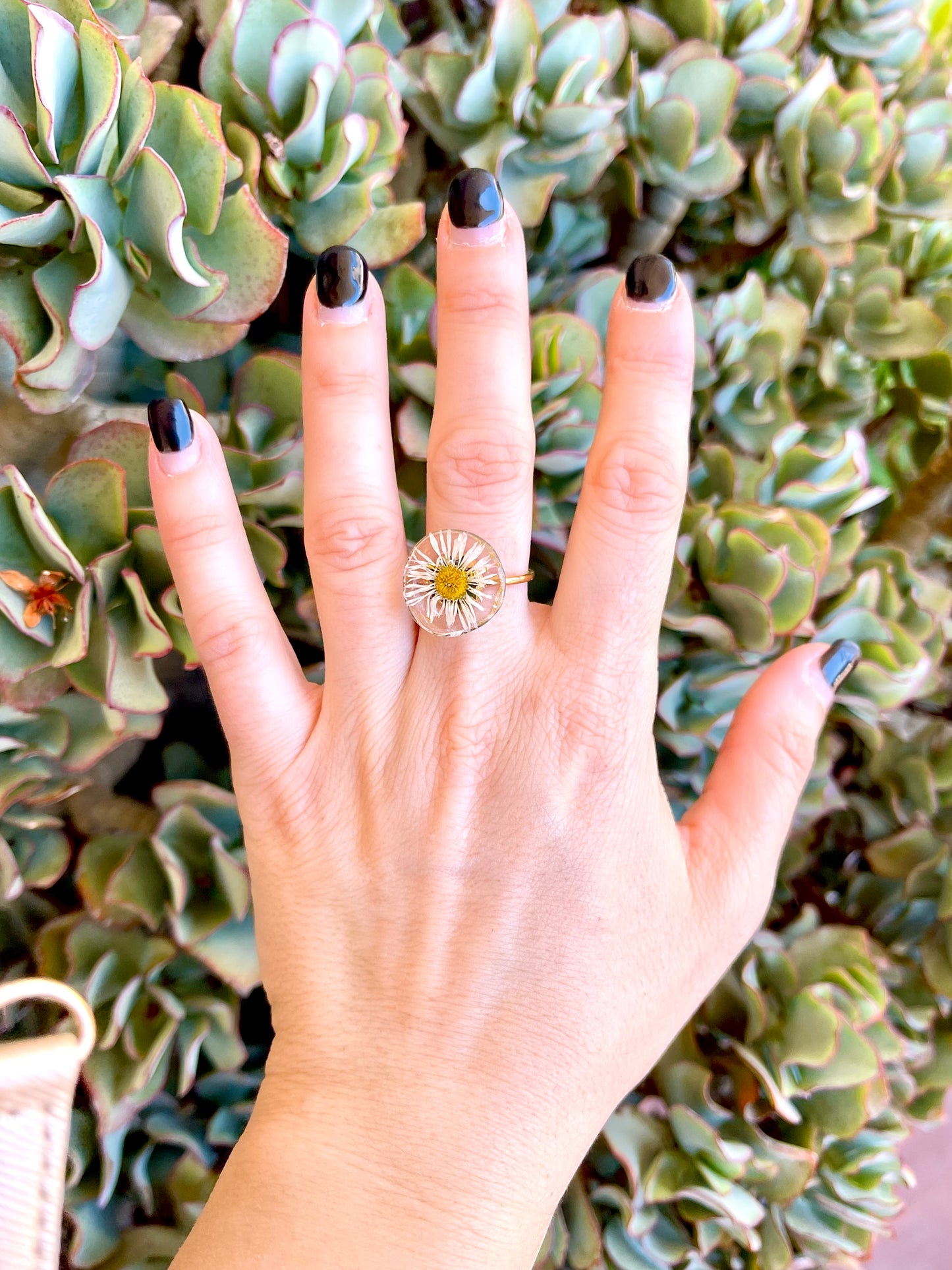 πΏπ ππππ‘πππππ πΌ