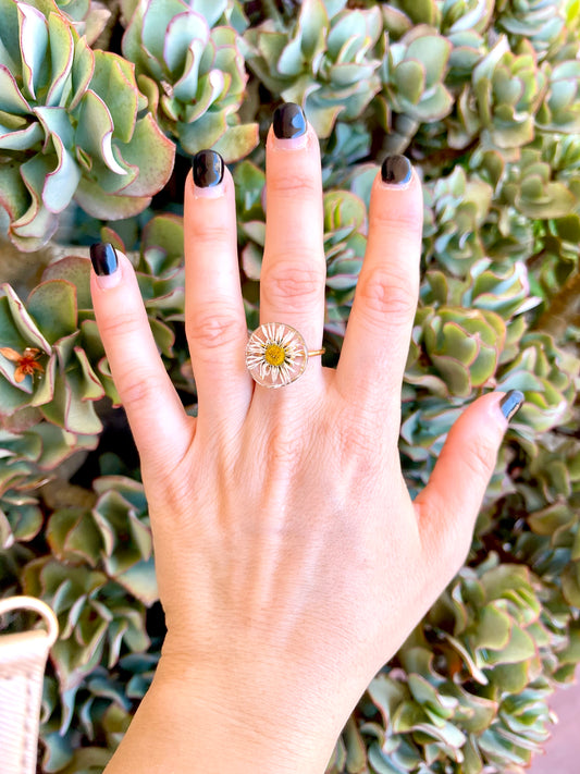 πΏπ ππππ‘πππππ πΌ