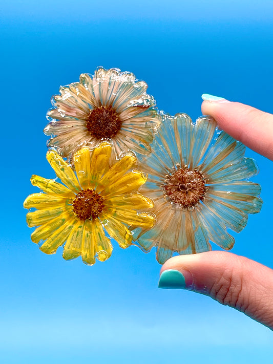 πΉππππππππ 3 ππππβππππ‘π