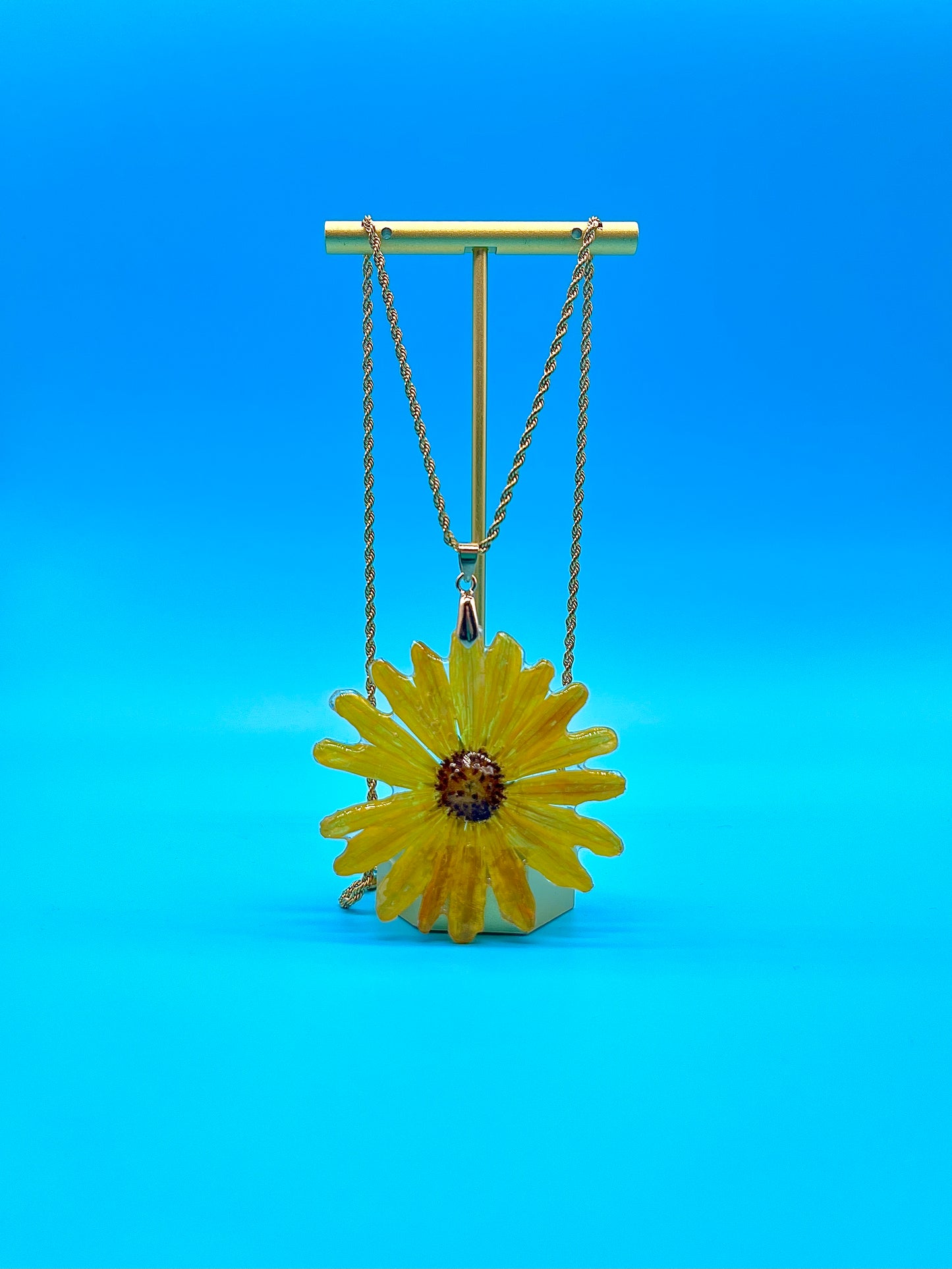 πΆππππππ ππππβππππ‘π ππππππ