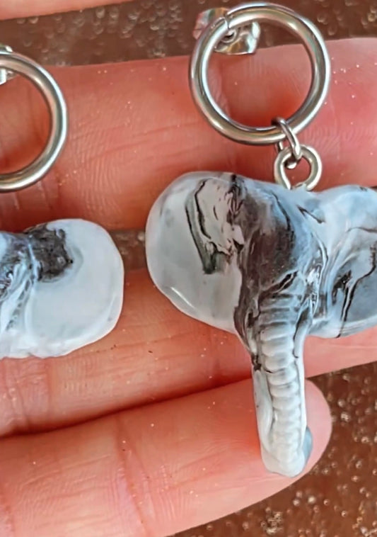 ππΈππππππ‘πππ πππππβππππ