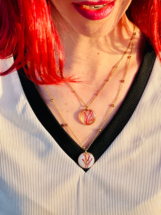 πΆππππππ π§ππππππππ