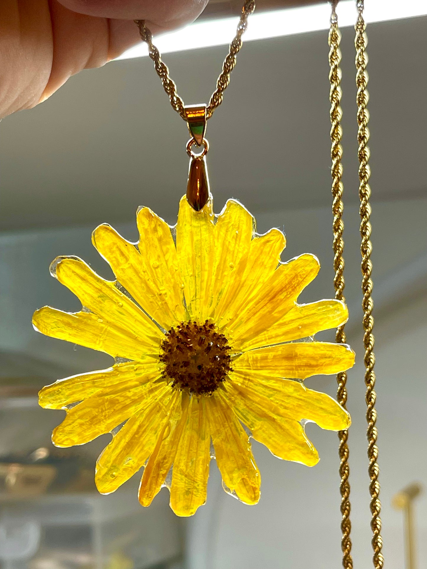 πΆππππππ ππππβππππ‘π ππππππ