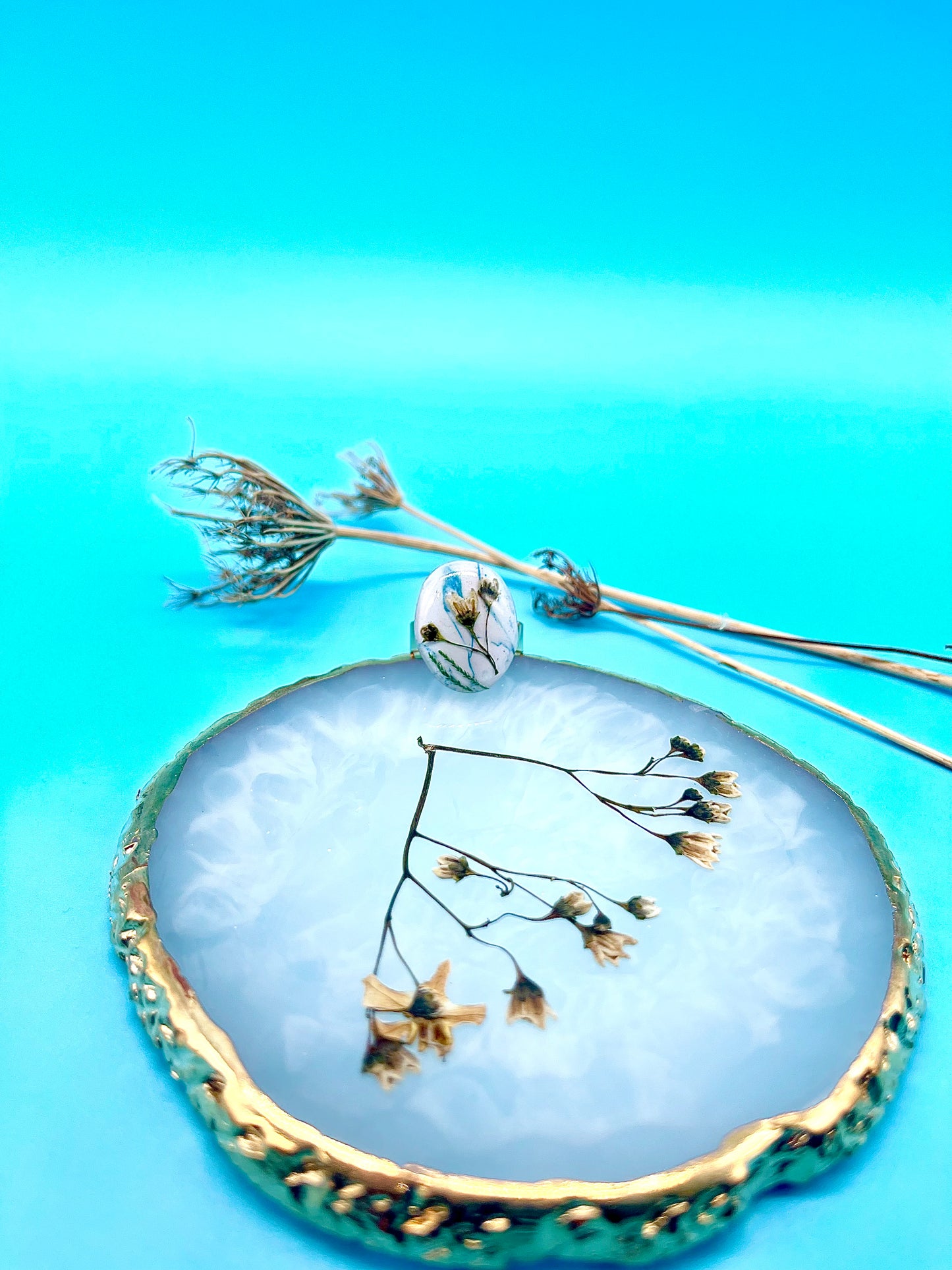 π΄πππππ πππππ π πππππ βͺοΈπ