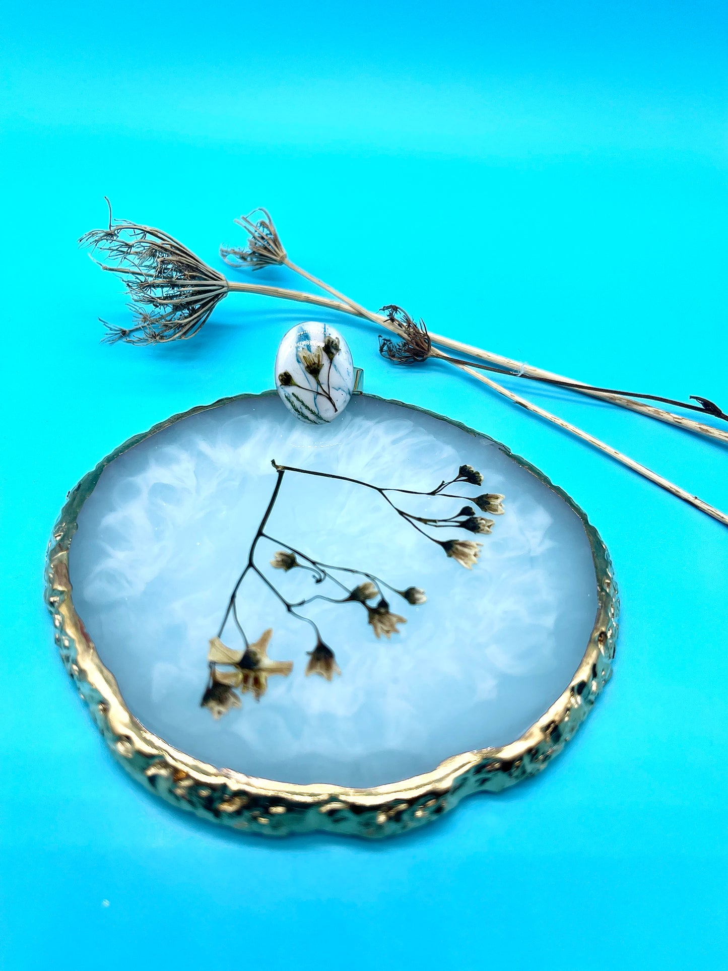 π΄πππππ πππππ π πππππ βͺοΈπ