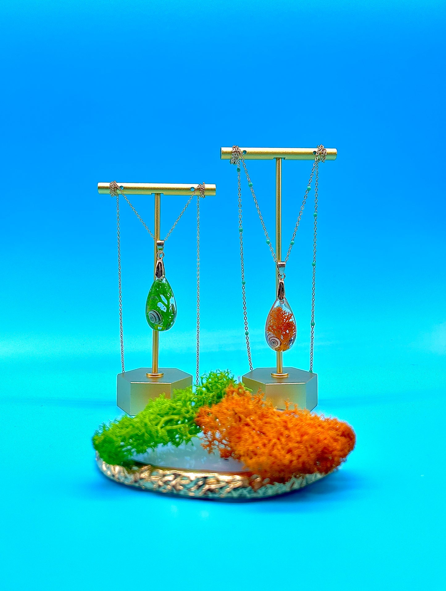 ๐ฌ๐๐๐๐๐๐๐๐๐ ๐ชธ