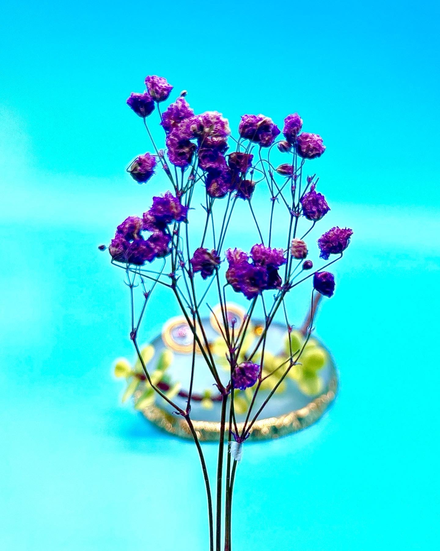 ππππππππππ πππππ π·