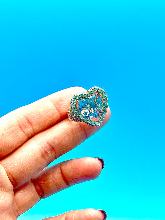 π΄πdenteπππ πβΊ