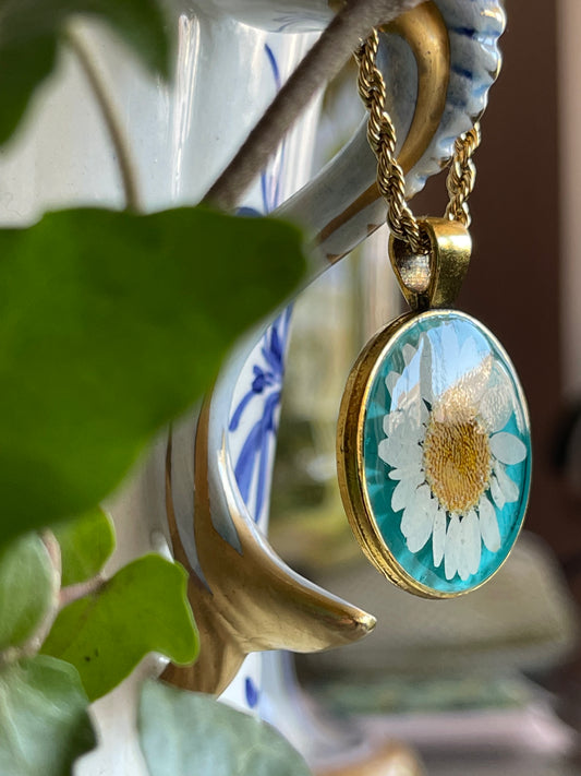 πΉπππ ππ πβ