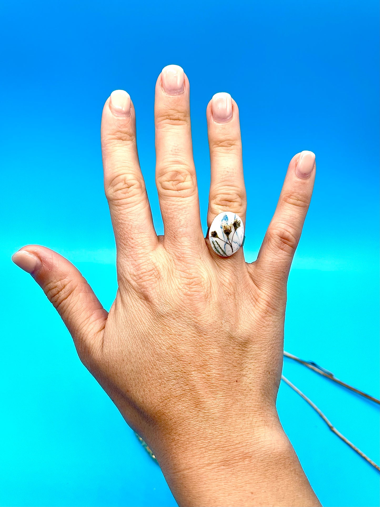 π΄πππππ πππππ π πππππ βͺοΈπ