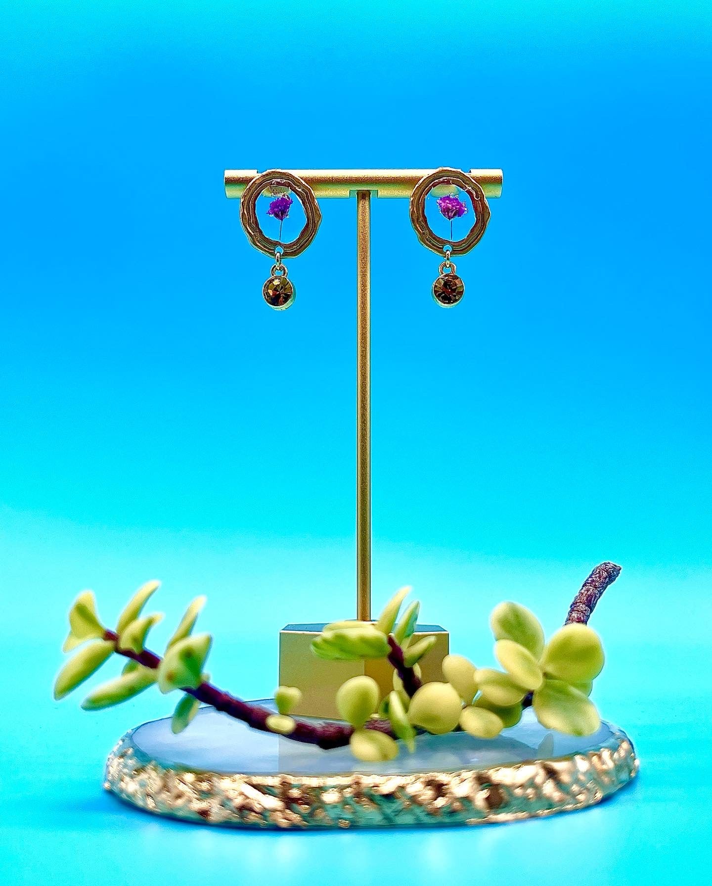 ππππππππππ πππππ π·