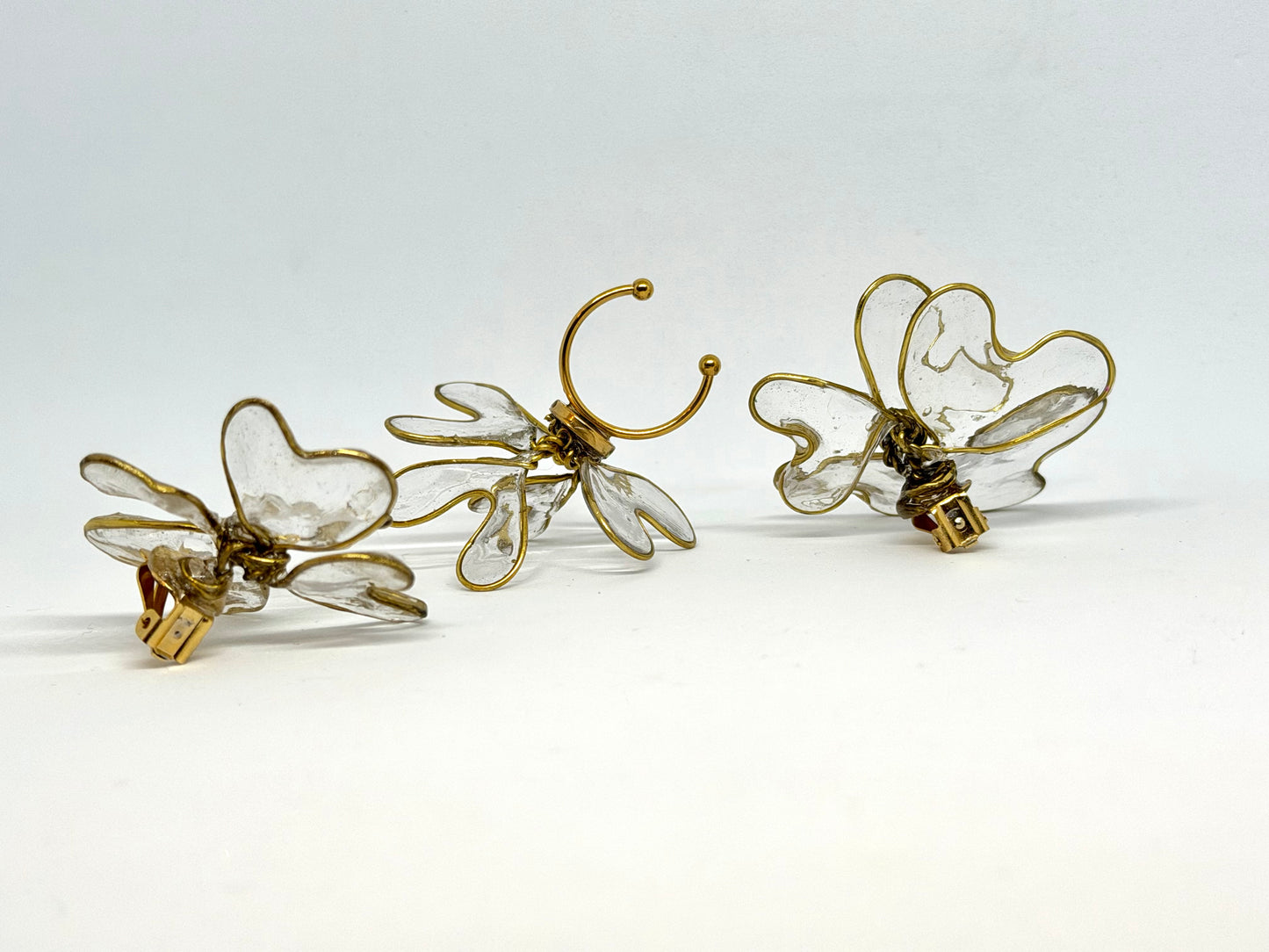 "𝐹𝑖𝑜𝑟𝑖 𝑑'𝐴𝑐𝑞𝑢ha"