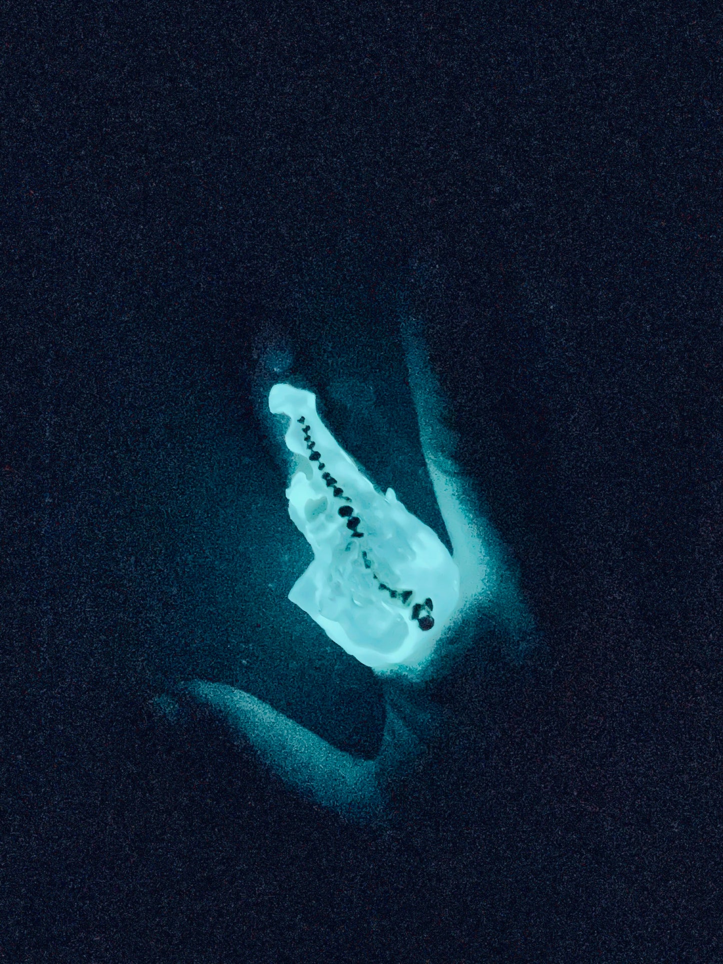 Esò - Esoscheletro fluo